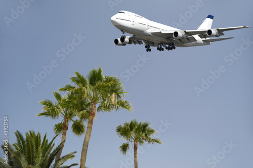 Jumbo is flying over palms ready to land