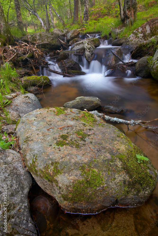 A mountain river with waterfalls in the spring season A mountain river with waterfalls in the spring season