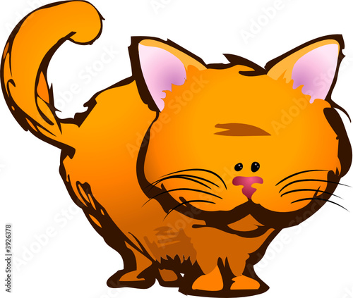 A cute kitty cat!