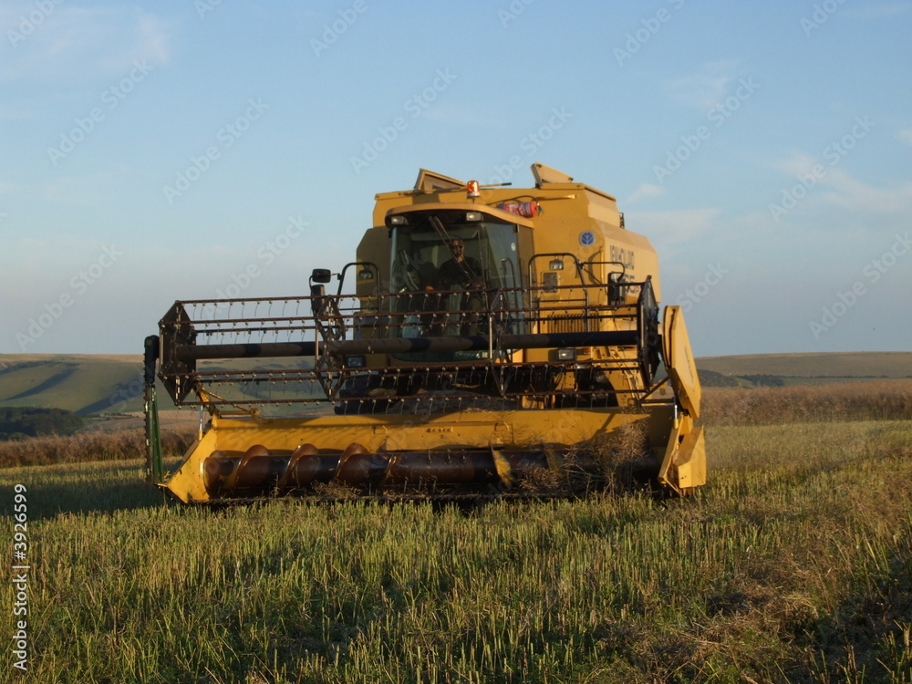 Obraz premium harvest