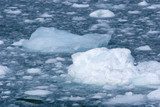 Ice pieces floating in the ocean