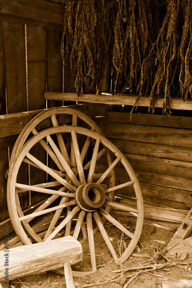 Obraz premium Wagon Wheels