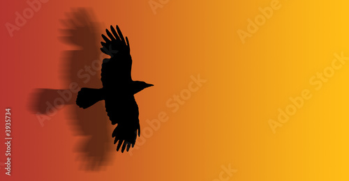 a hawk flying with open wings - silhouette - illustration