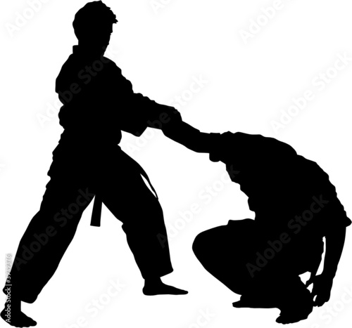 Sport silhouette - Martial arts