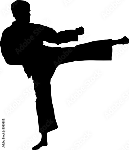Sport silhouette - Martial arts