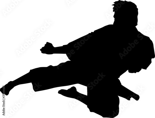 Sport silhouette - Martial arts