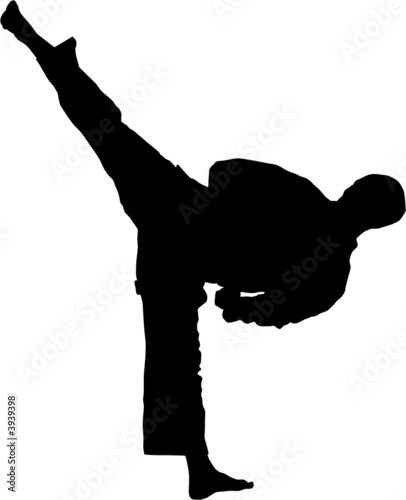 Sport silhouette - Martial arts