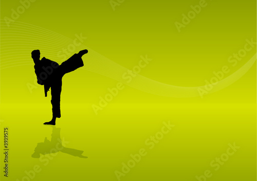 Background Martial arts
