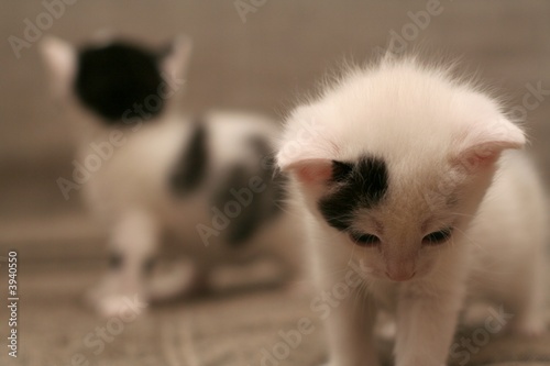 brother and sister