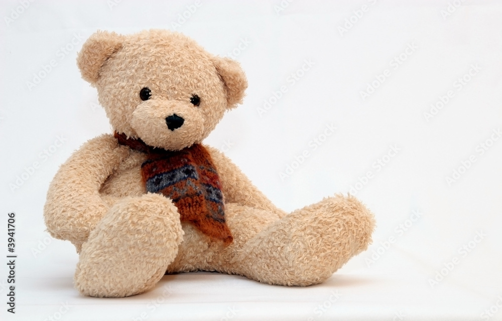 Teddy bear Teddy bear