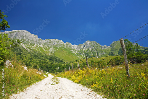 Road to the mountains