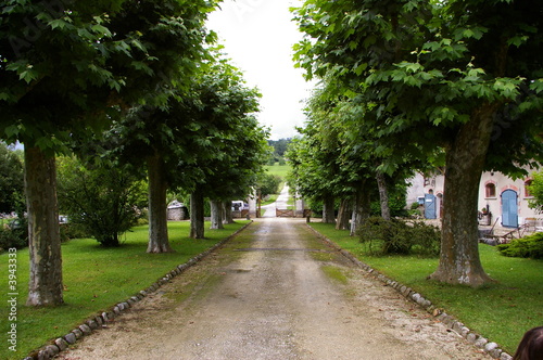 Allée du chateau