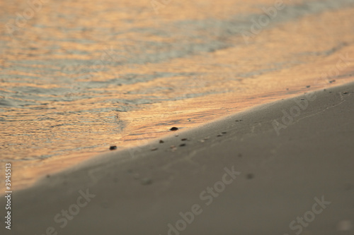 sand shore
