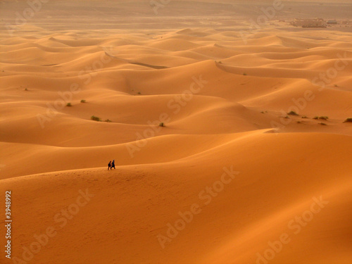 Einsamkeit der Sahara
