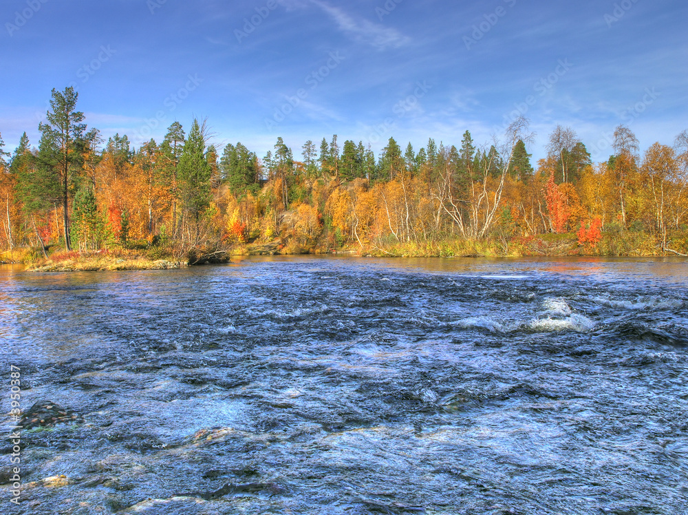 The autumn river The autumn river