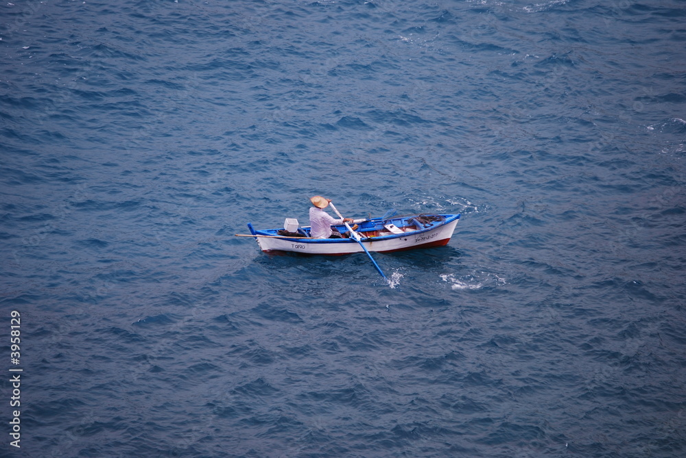 Naklejka premium Fischer 3