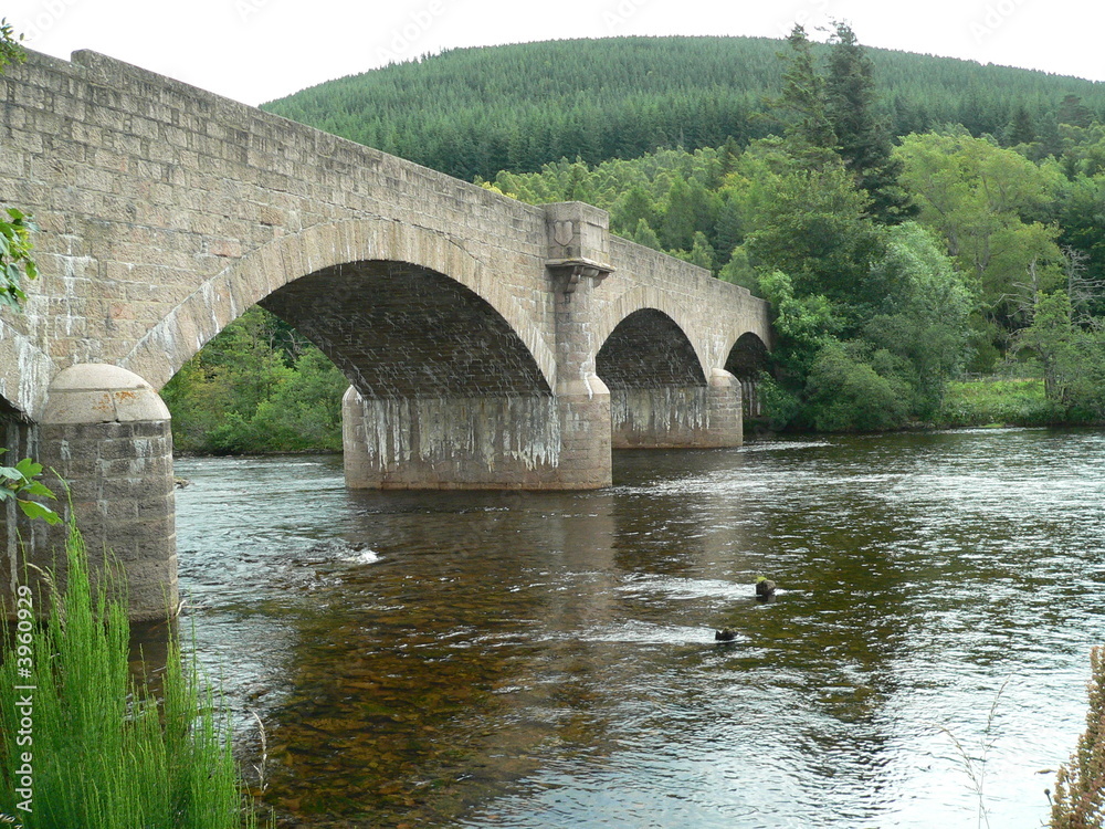 Fototapeta premium Bridge