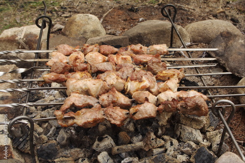 shashlik 2
