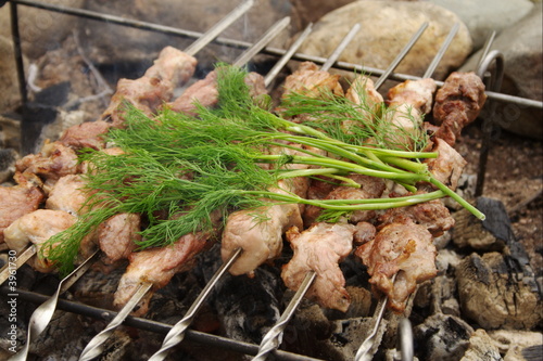 shashlik 3