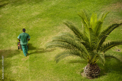 Fényképezés Man working in garden