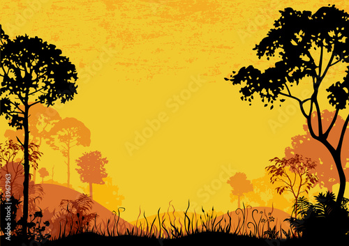 woodland