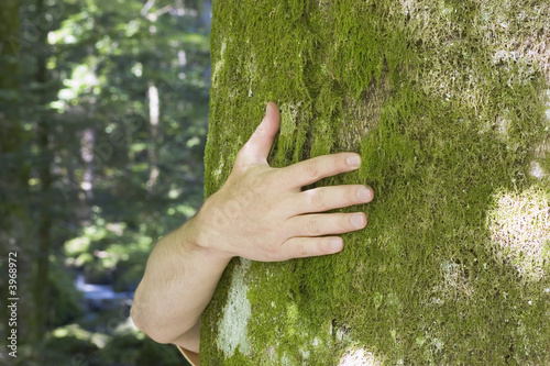 Tree hugging