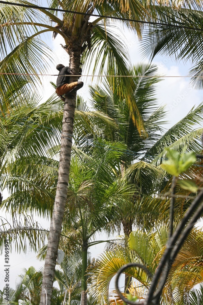 Obraz premium nur ein job ....6