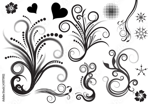 beautiful abstract vector floral design elements
