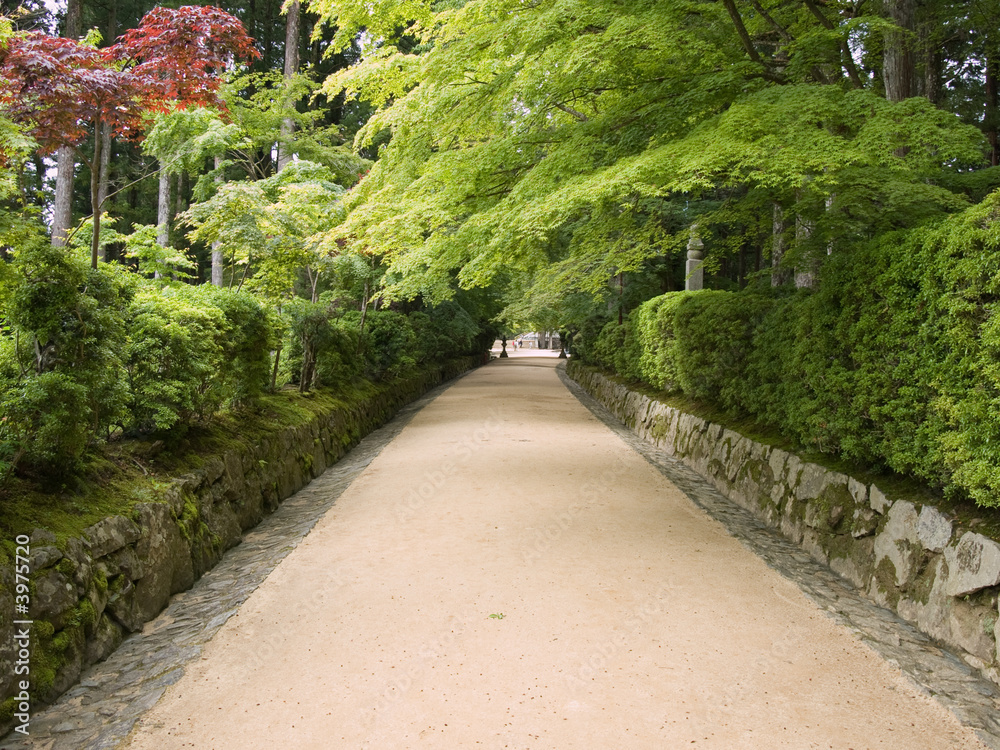 Temple pathway
