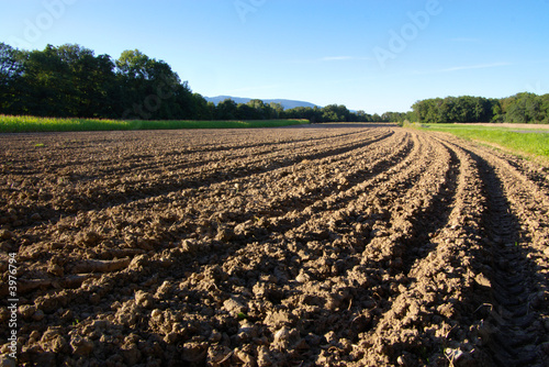 field with tillage diminishing to horizont