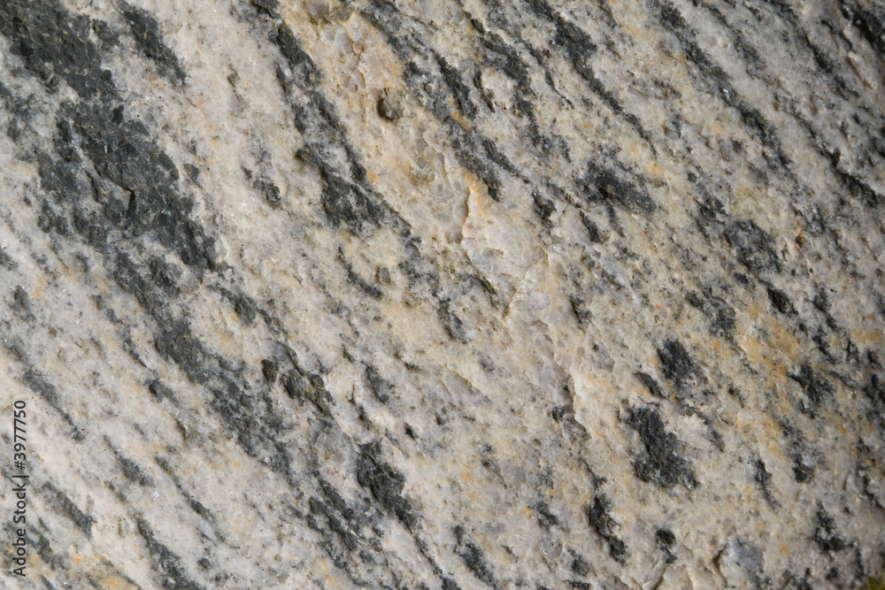 Obraz premium gneiss texture