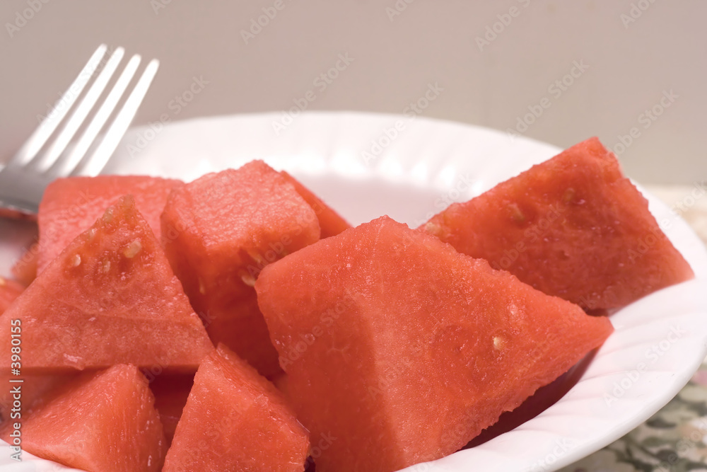 Watermelon Watermelon