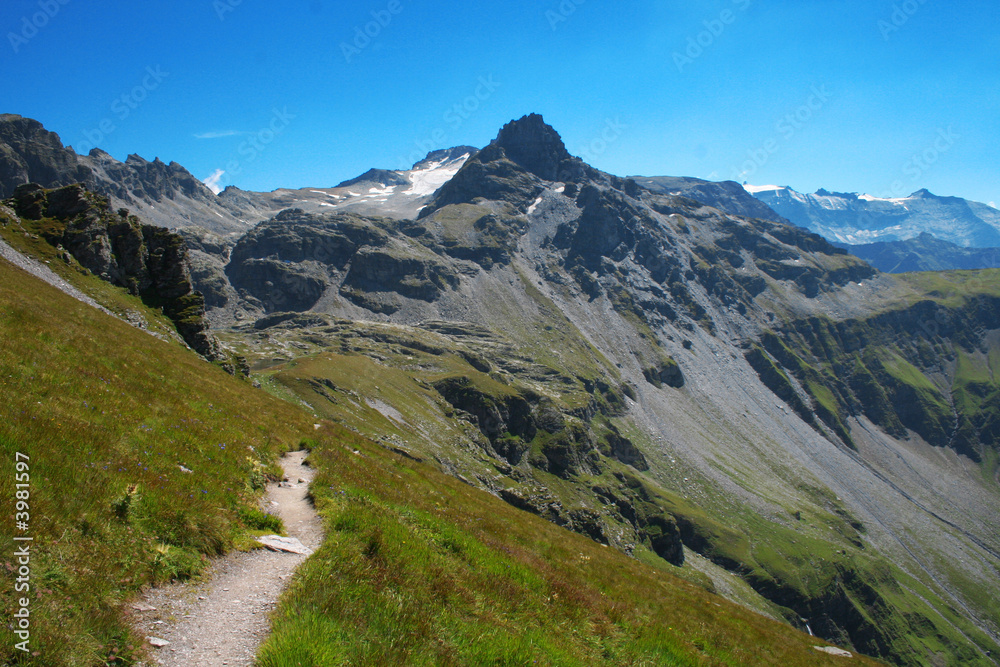 Fototapeta premium Wanderweg