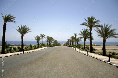 desert road in the red sea region, sinai, egypt