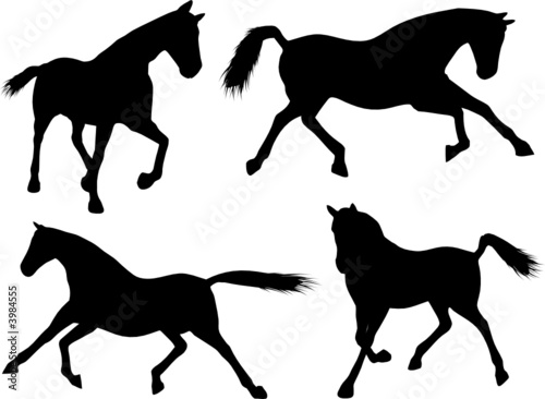 Horse silhouettes