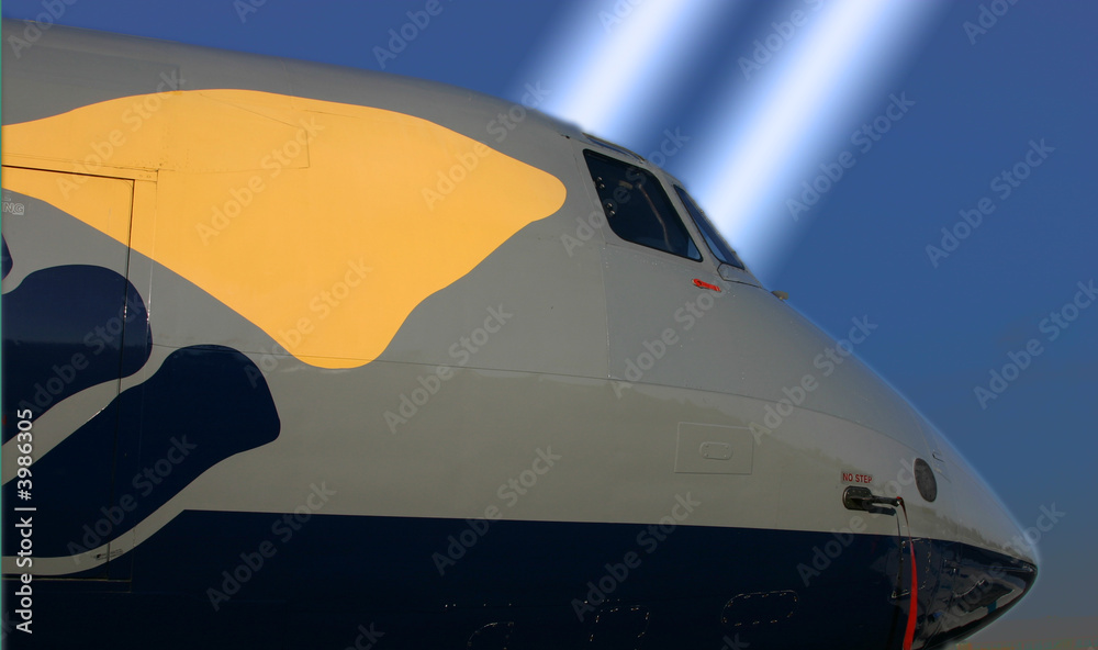 Aircraft nose section Aircraft nose section