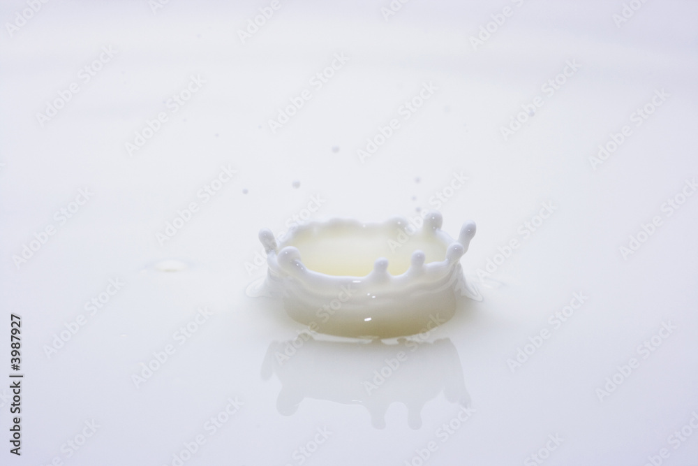 Milk drop Milk drop