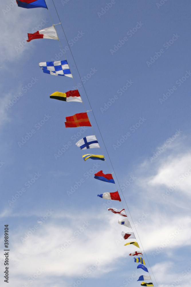 flags of different countries