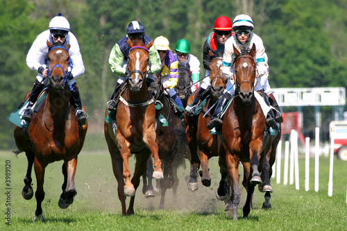 Fototapet horse racing