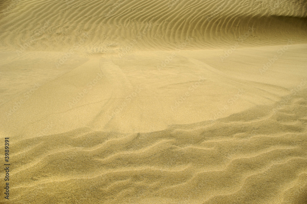 Fototapeta premium Sand