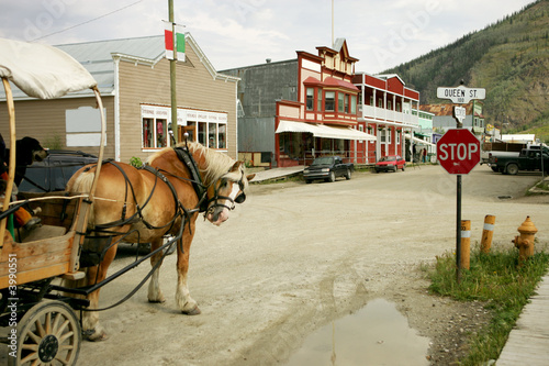 Horse buggy in Dawson City, Yukon, Canada photo