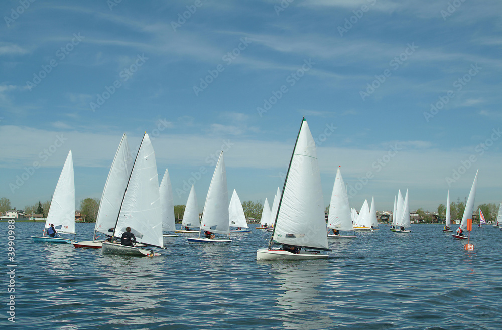 Fototapeta premium Sailboat regatta