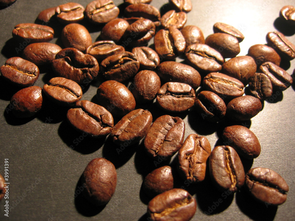 Obraz premium grains de café