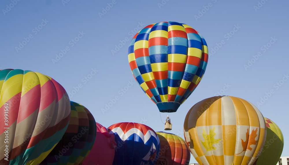 Naklejka premium Hot Air Balloon 0731