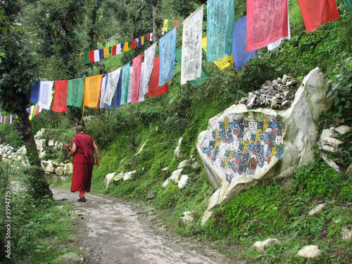Fotografie, Tablou inde - dharamsala - pierre mani