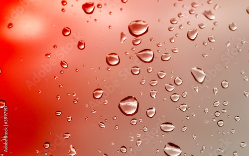 Принти на полотні water drops background