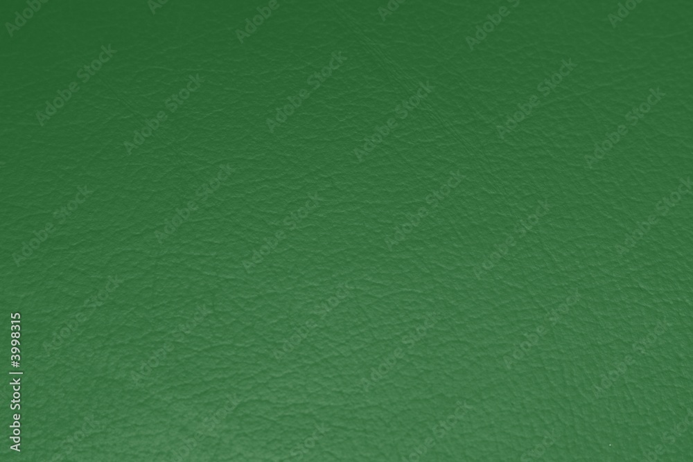 Fototapeta premium green leather