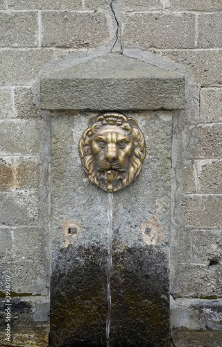 Fontana testa di leone