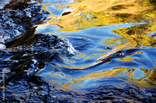 Reflection In Running Water