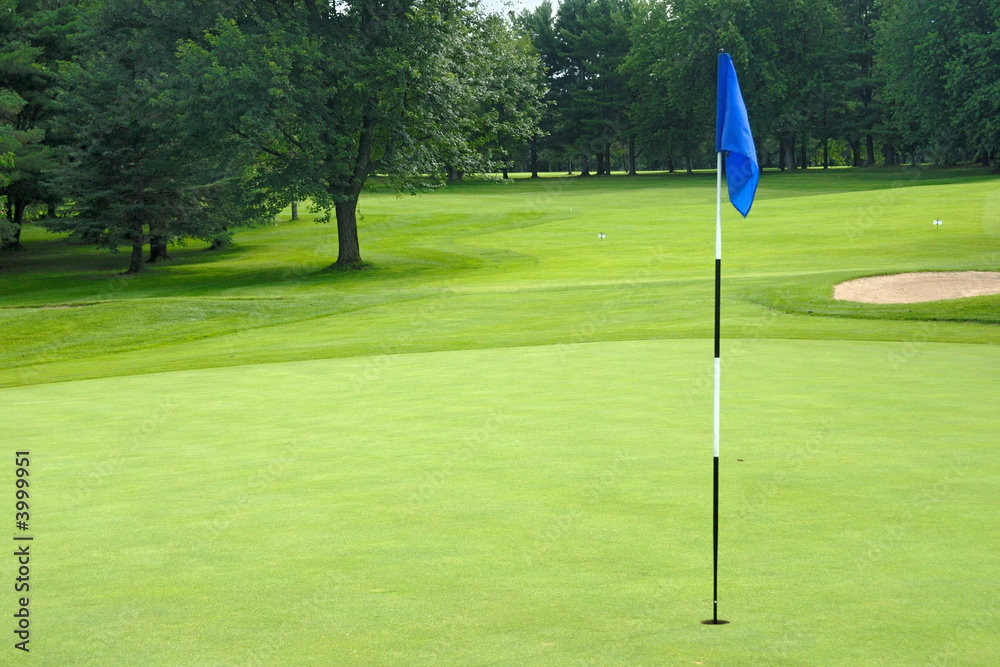 Obraz premium Onto the green